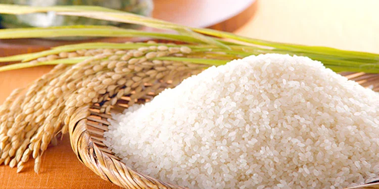 Harga Beras Tembus Rp 120 Ribu,  Pemerintah  Tekan di Ritel Modern